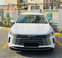 بی وای دی دیسترۆیەر 05